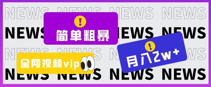 简单粗暴零成本，高回报，全网视频VIP掘金项目，月入2万＋【揭秘】-副业宝典