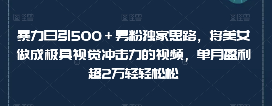 暴力日引500＋男粉独家思路，将美女做成极具视觉冲击力的视频，单月盈利超2万轻轻松松-副业宝典
