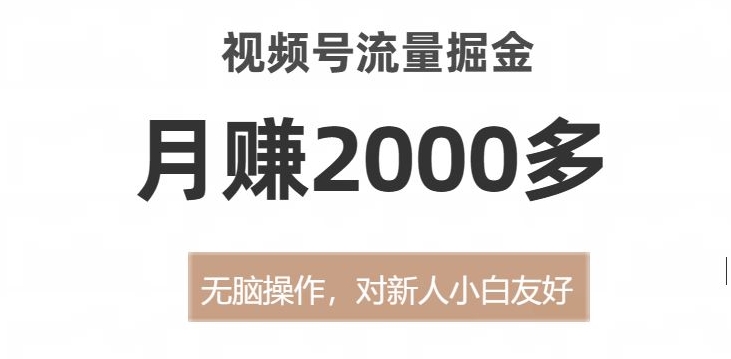 视频号流量掘金，无脑操作，对新人小白友好，月赚2000多【揭秘】-副业宝典