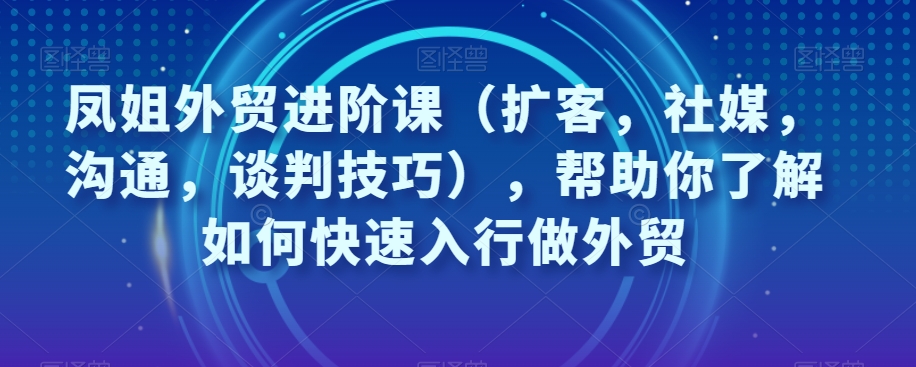 凤姐外贸进阶课（扩客，社媒，沟通，谈判技巧），帮助你了解如何快速入行做外贸-副业宝典
