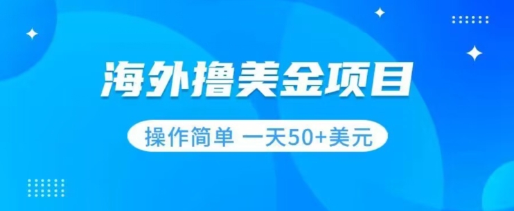 撸美金项目无门槛操作简单小白一天50+美刀-副业宝典