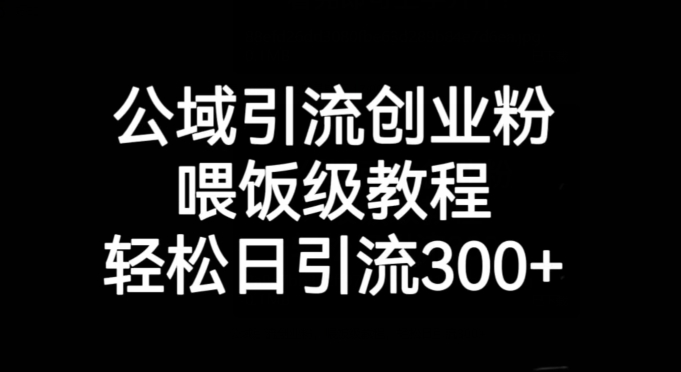 公域引流创业粉，喂饭级教程，轻松日引流300+【揭秘】-副业宝典