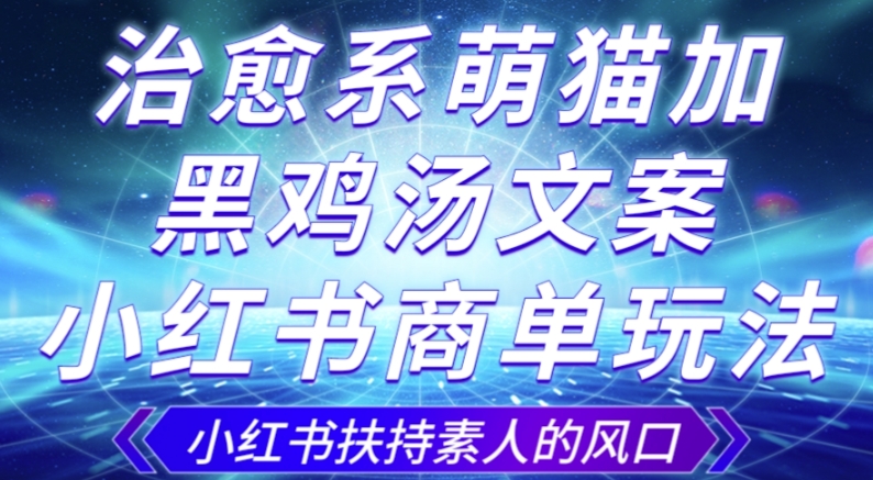 治愈系萌猫加+黑鸡汤文案，小红书商单玩法，3~10天涨到1000粉，一单200左右-副业宝典
