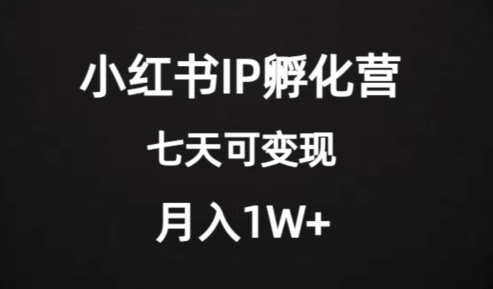 价值2000+的小红书IP孵化营项目，超级大蓝海，七天即可开始变现，稳定月入1W+-副业宝典