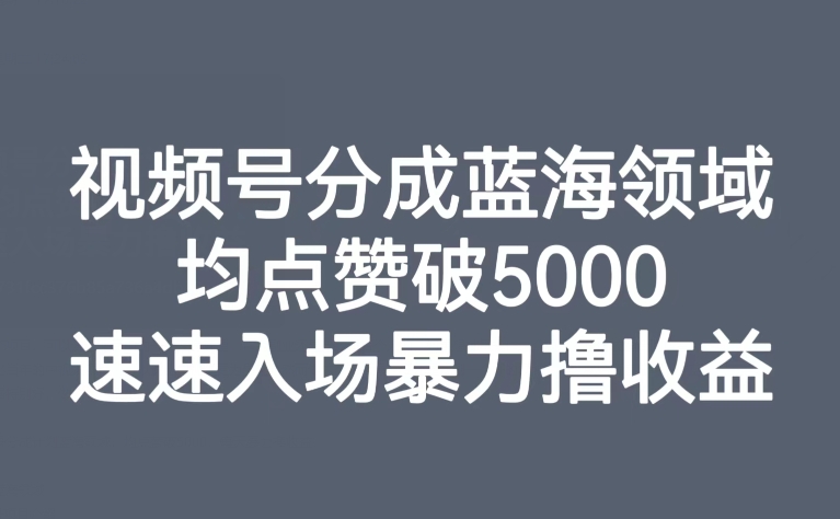 视频号分成蓝海领域，均点赞破5000，速速入场暴力撸收益-副业宝典