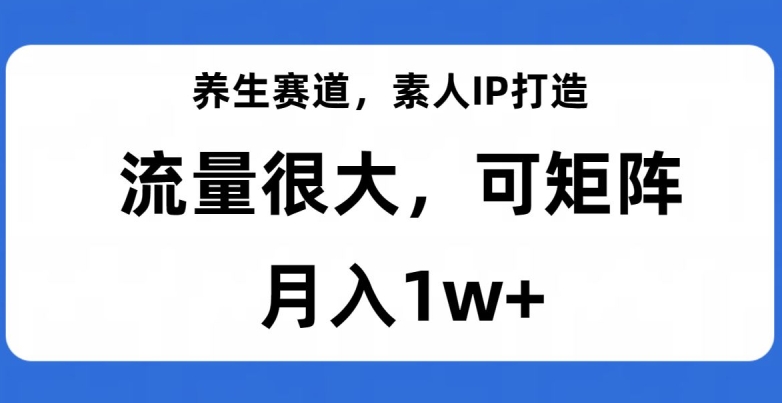 养生赛道，素人IP打造，流量很大，可矩阵，月入1w+【揭秘】-副业宝典