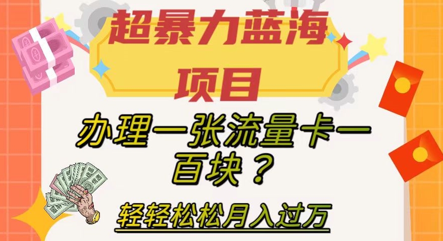 超暴力蓝海项目，办理一张流量卡一百块？轻轻松松月入过万，保姆级教程【揭秘】-副业宝典