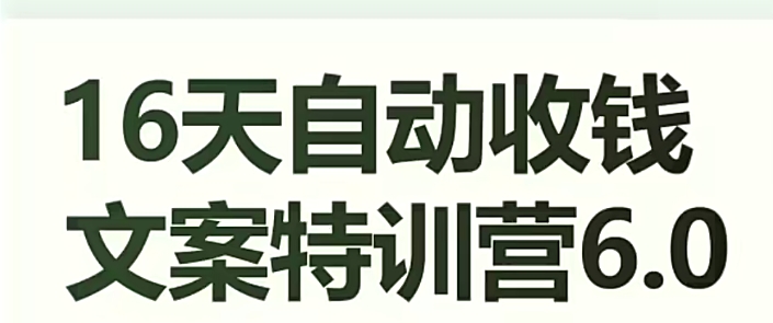 16天自动收钱文案特训营6.0，学会儿每天自动咔咔收钱-副业宝典