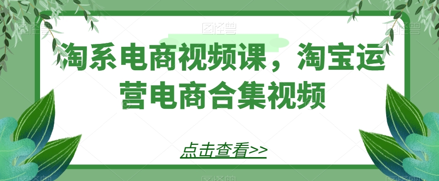 淘系电商视频课，淘宝运营电商合集视频-副业宝典