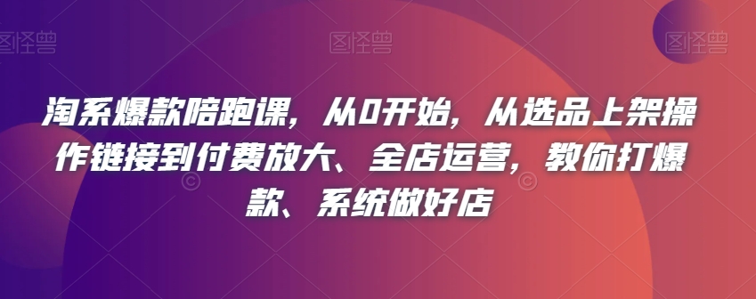 淘系爆款陪跑课，从0开始，从选品上架操作链接到付费放大、全店运营，教你打爆款、系统做好店-副业宝典