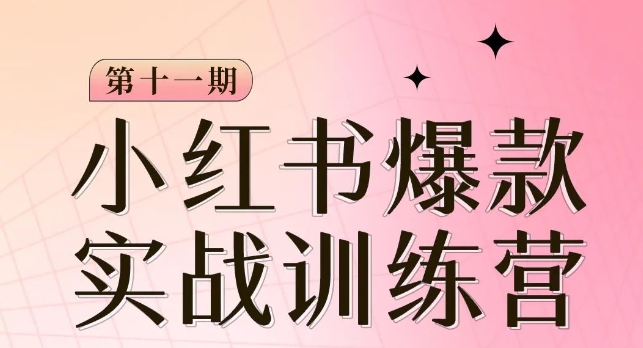 小红书博主爆款训练营第11期，手把手教你从0-1做小红书，从定位到起号到变现-副业宝典