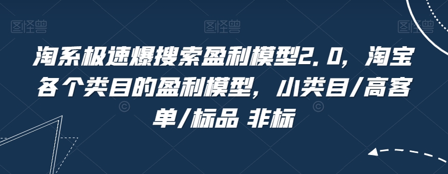 淘系极速爆搜索盈利模型2.0，淘宝各个类目的盈利模型，小类目/高客单/标品 非标-副业宝典