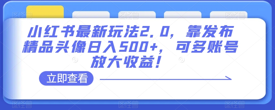 小红书最新玩法2.0，靠发布精品头像日入500+，可多账号放大收益！【揭秘】-副业宝典