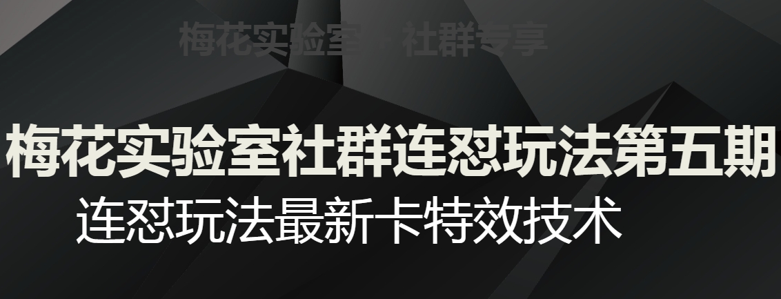 梅花实验室社群连怼玩法第五期，视频号连怼玩法最新卡特效技术-副业宝典