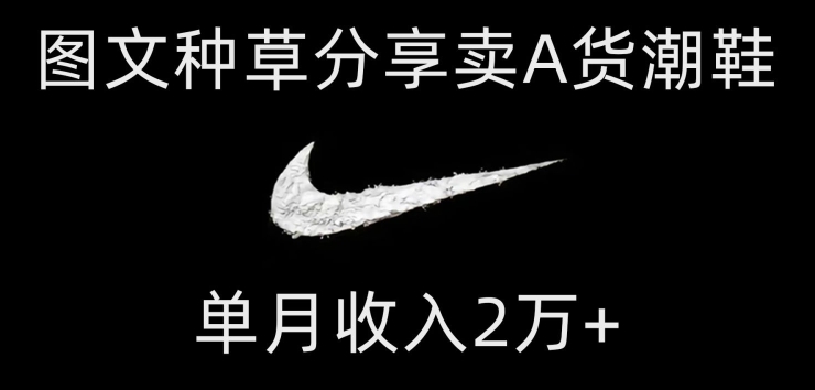 靠图文种草分享卖A货潮鞋，每天一小时，单月收入2万+【揭秘】-副业宝典