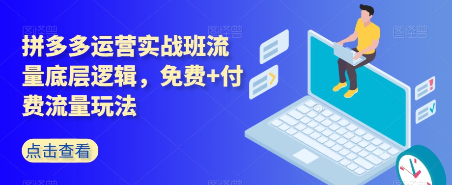 拼多多运营实战班流量底层逻辑，免费+付费流量玩法-副业宝典