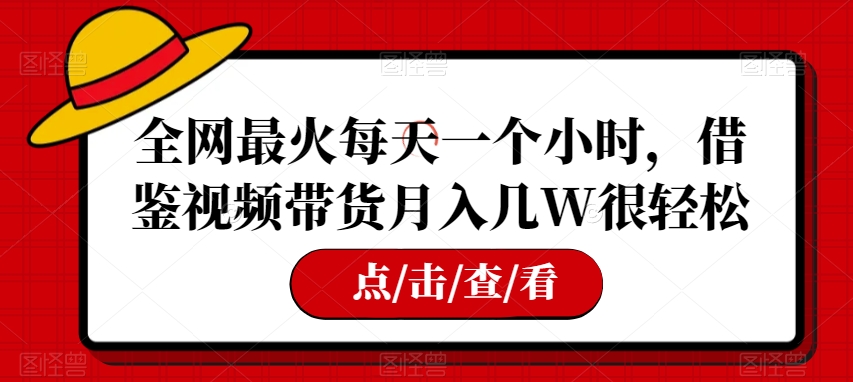 全网最火每天一个小时，借鉴视频带货月入几W很轻松【揭秘】-副业宝典