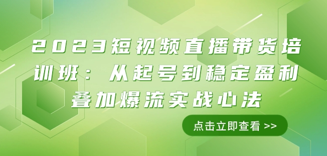 2023短视频直播带货培训班：从起号到稳定盈利叠加爆流实战心法（11节课）-副业宝典