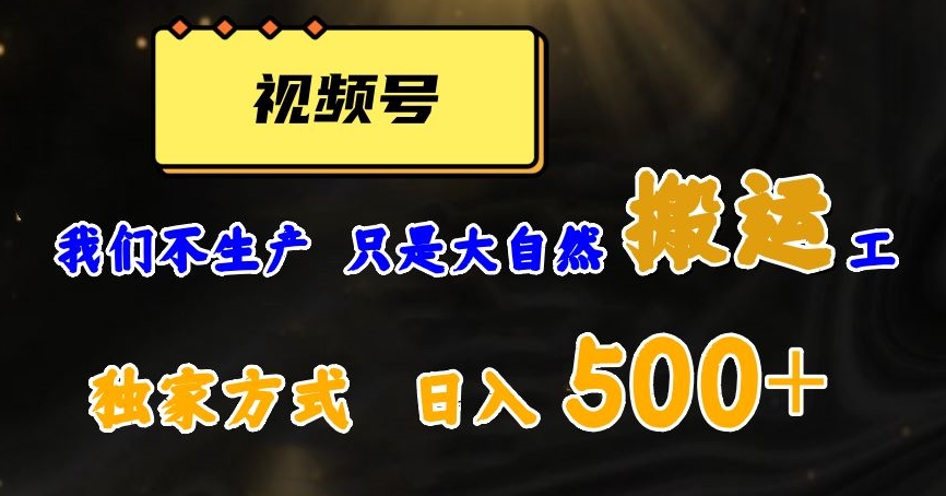 视频号轻松搬运日赚500+，一个1分钟1条原创视频【揭秘】-副业宝典