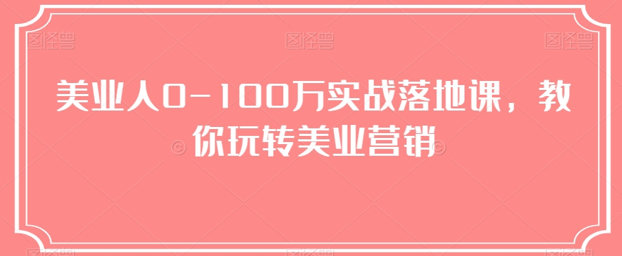 美业人0-100万实战落地课，教你玩转美业营销-副业宝典