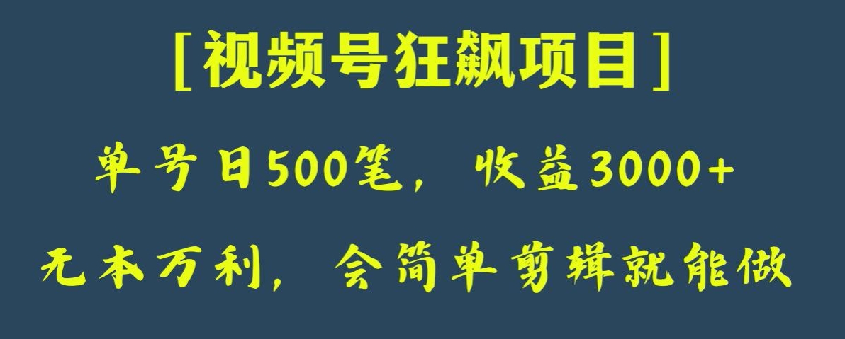 日收款500笔，纯利润3000+，视频号狂飙项目，会简单剪辑就能做【揭秘】-副业宝典
