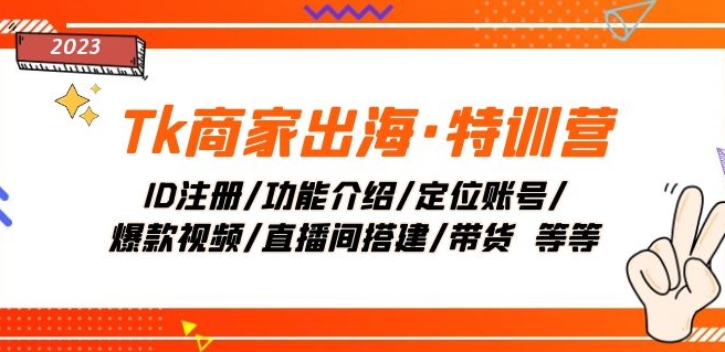 Tk商家出海·特训营：ID注册/功能介绍/定位账号/爆款视频/直播间搭建/带货-副业宝典
