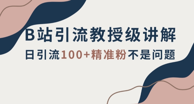 B站引流教授级讲解，细节满满，日引流100+精准粉不是问题【揭秘】-副业宝典