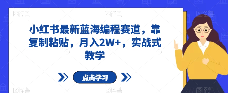 小红书最新蓝海编程赛道，靠复制粘贴，月入2W+，实战式教学【揭秘】-副业宝典