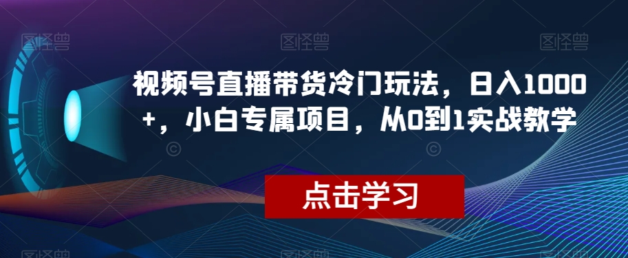 视频号直播带货冷门玩法，日入1000+，小白专属项目，从0到1实战教学【揭秘】-副业宝典