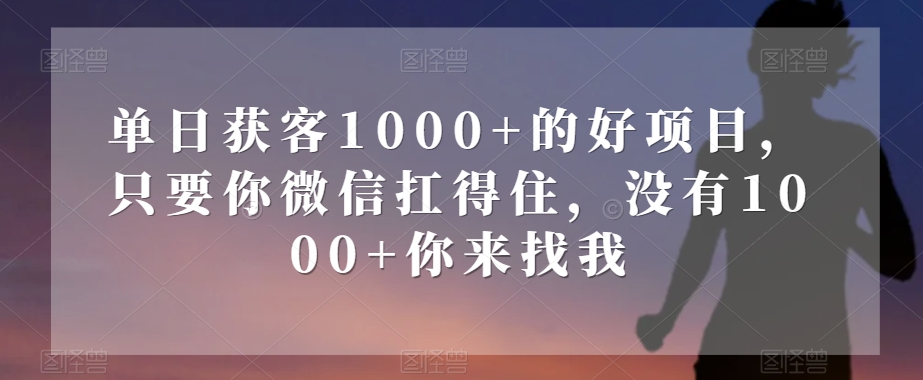 单日获客1000+的好项目，只要你微信扛得住，没有1000+你来找我【揭秘】-副业宝典