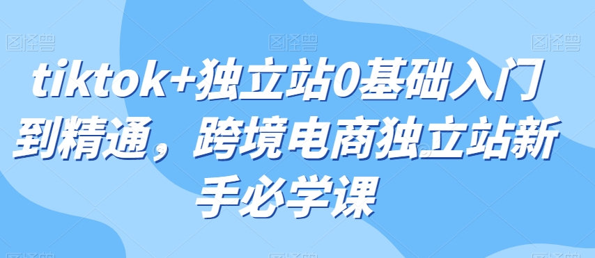 tiktok+独立站0基础入门到精通，跨境电商独立站新手必学课-副业宝典