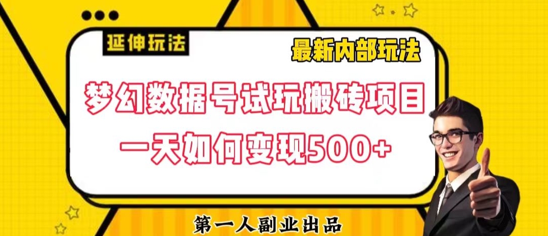 数据号回归玩法游戏试玩搬砖项目再创日入500+【揭秘】-副业宝典