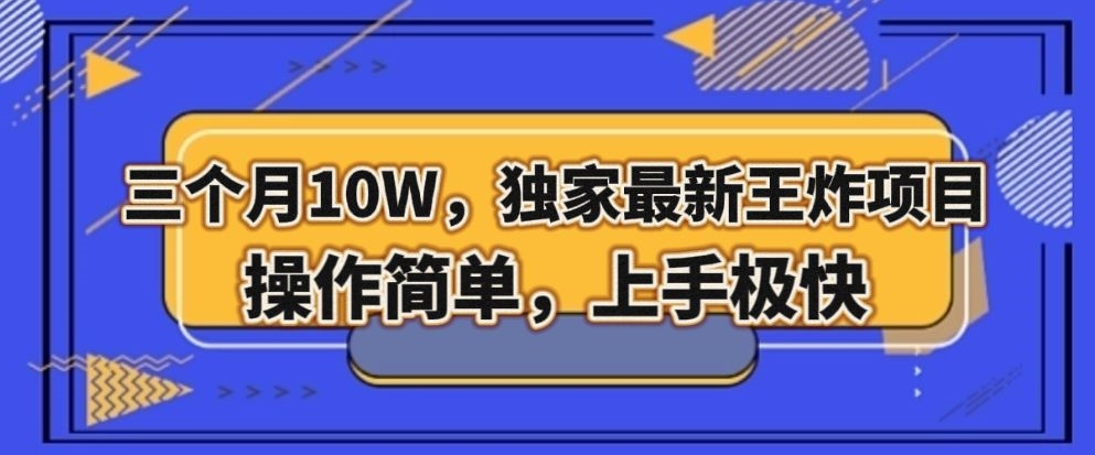 三个月10W，独家最新王炸项目！操作简单，上手极快【揭秘】-副业宝典