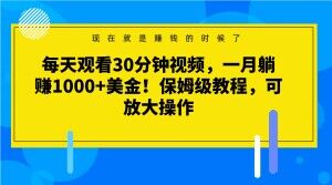 每天观看30分钟视频，一月躺赚1000+美金！保姆级教程，可放大操作【揭秘】-副业宝典