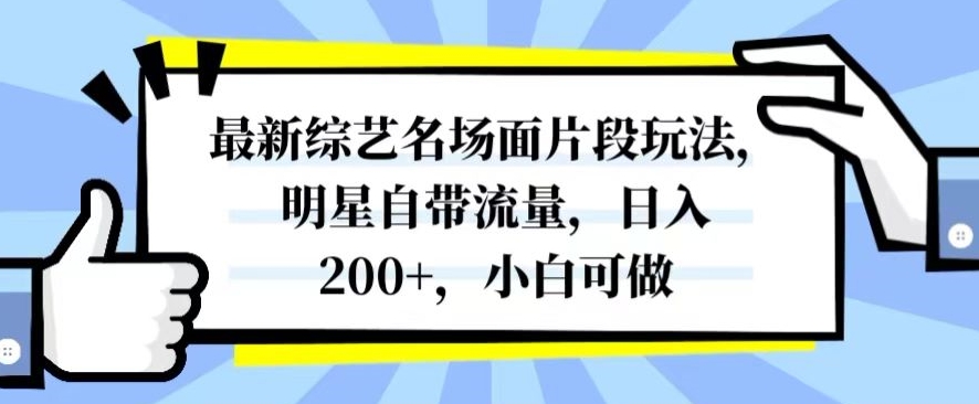 最新综艺名场面片段玩法，明星自带流量，日入200+，小白可做【揭秘】-副业宝典
