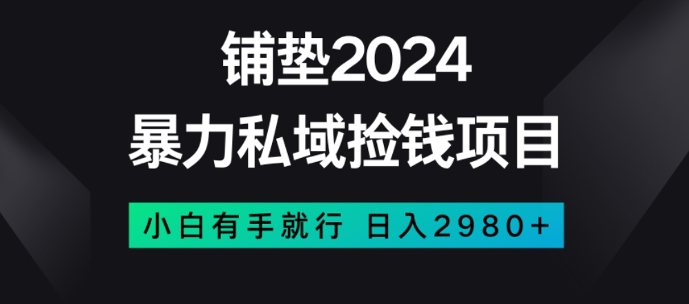 暴力私域捡钱项目，小白无脑操作，日入2980【揭秘】-副业宝典