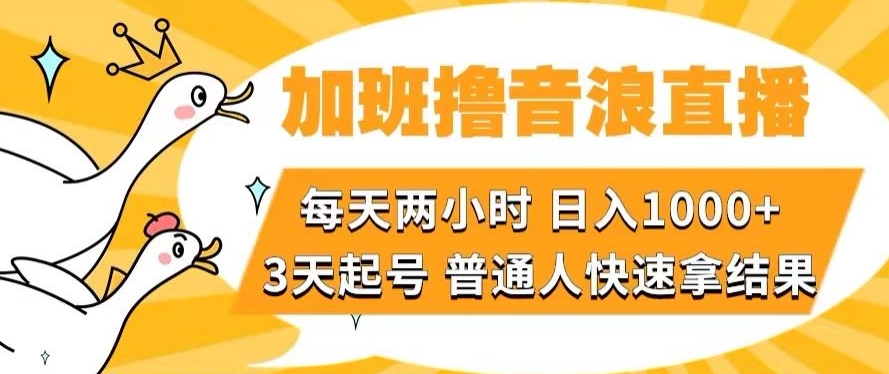 加班撸音浪直播，每天两小时，日入1000+，直播话术才3句，3天起号，普通人快速拿结果【揭秘】-副业宝典