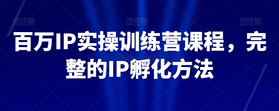 百万IP实操训练营课程，完整的IP孵化方法-副业宝典