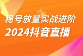 稳号放量实战进阶—2024抖音直播，直播间精细化运营的几大步骤-副业宝典