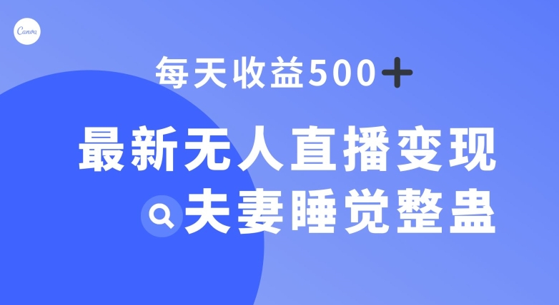 最新无人直播变现，夫妻睡觉整蛊，每天躺赚500+【揭秘】-副业宝典