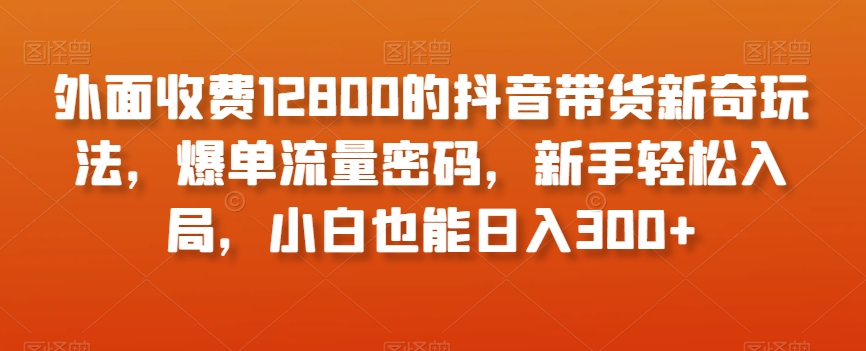 外面收费12800的抖音带货新奇玩法，爆单流量密码，新手轻松入局，小白也能日入300+【揭秘】-副业宝典