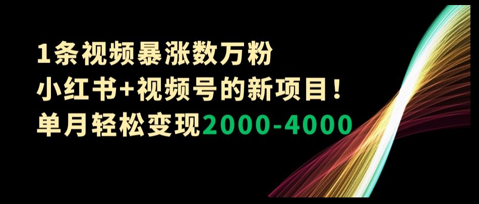 1条视频暴涨数万粉–小红书+视频号的新项目！单月轻松变现2000-4000【揭秘】-副业宝典