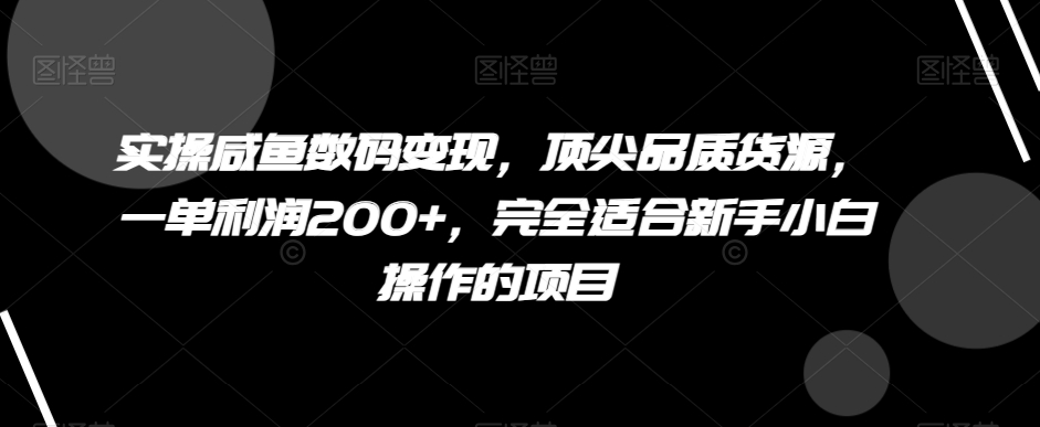 实操咸鱼数码变现，顶尖品质货源，一单利润200+，完全适合新手小白操作的项目【揭秘】-副业宝典