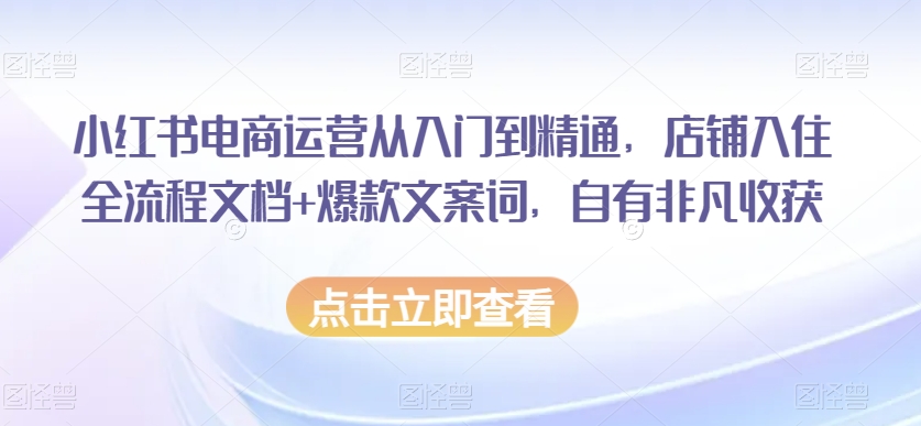 小红书电商运营从入门到精通，店铺入住全流程文档+爆款文案词，自有非凡收获-副业宝典