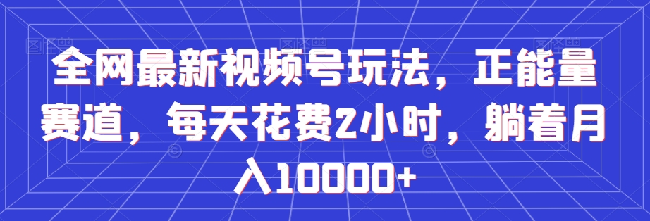 全网最新视频号玩法，正能量赛道，每天花费2小时，躺着月入10000+【揭秘】-副业宝典