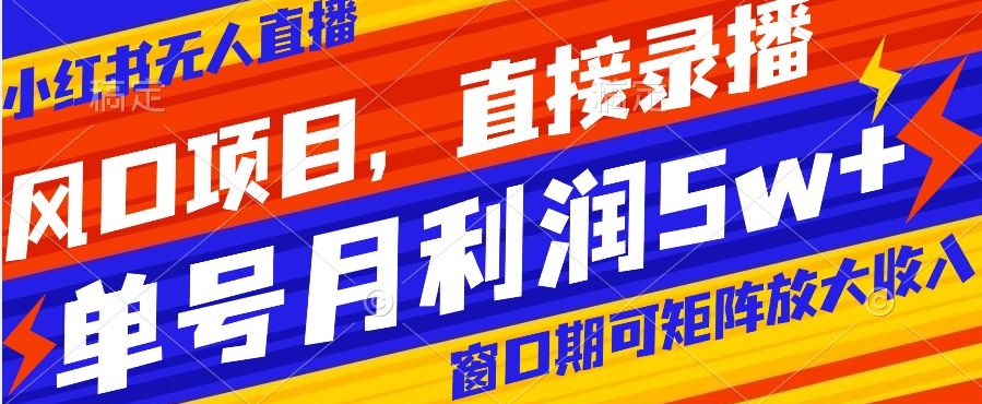 风口项目，小红书无人直播带货，直接录播，可矩阵，月入5w+【揭秘】-副业宝典
