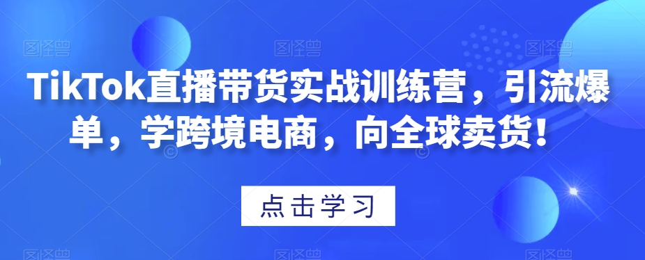 TikTok直播带货实战训练营，引流爆单，学跨境电商，向全球卖货！-副业宝典