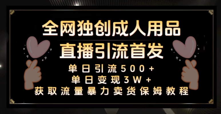 全网独创真人主播+无人直播单日引流500+，橙人用品暴力卖货单日变现3W+保姆似教学2.0【揭秘】-副业宝典