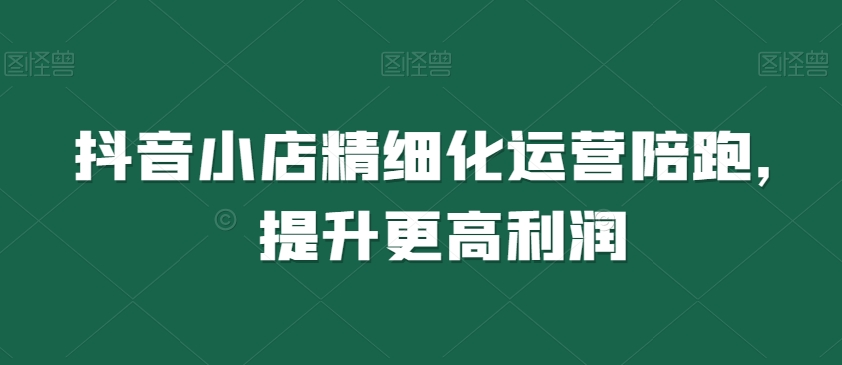 抖音小店精细化运营陪跑，提升更高利润-副业宝典