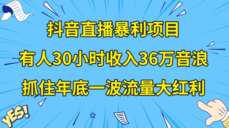 抖音直播暴利项目，有人30小时收入36万音浪，公司宣传片年会视频制作，抓住年底一波流量大红利【揭秘】-副业宝典